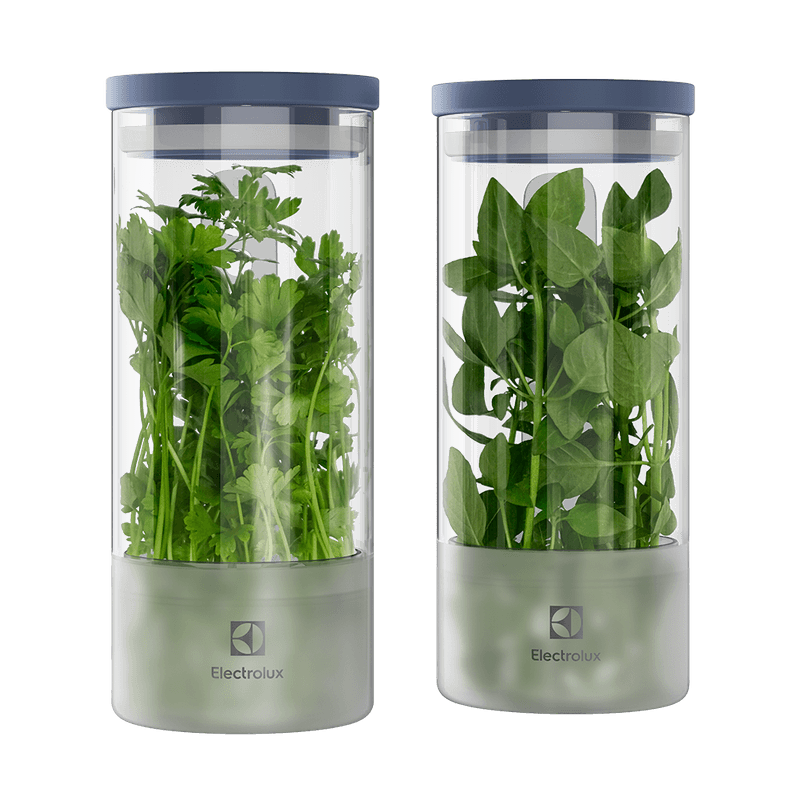 POTES TEMPERO FRESCO/HORTALICA-1758548499481